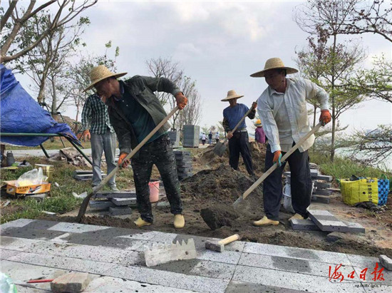 海口大型滨海城市“公园”要来了！国庆前会有这些新变化……