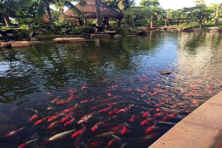 海拓澜湾实景图